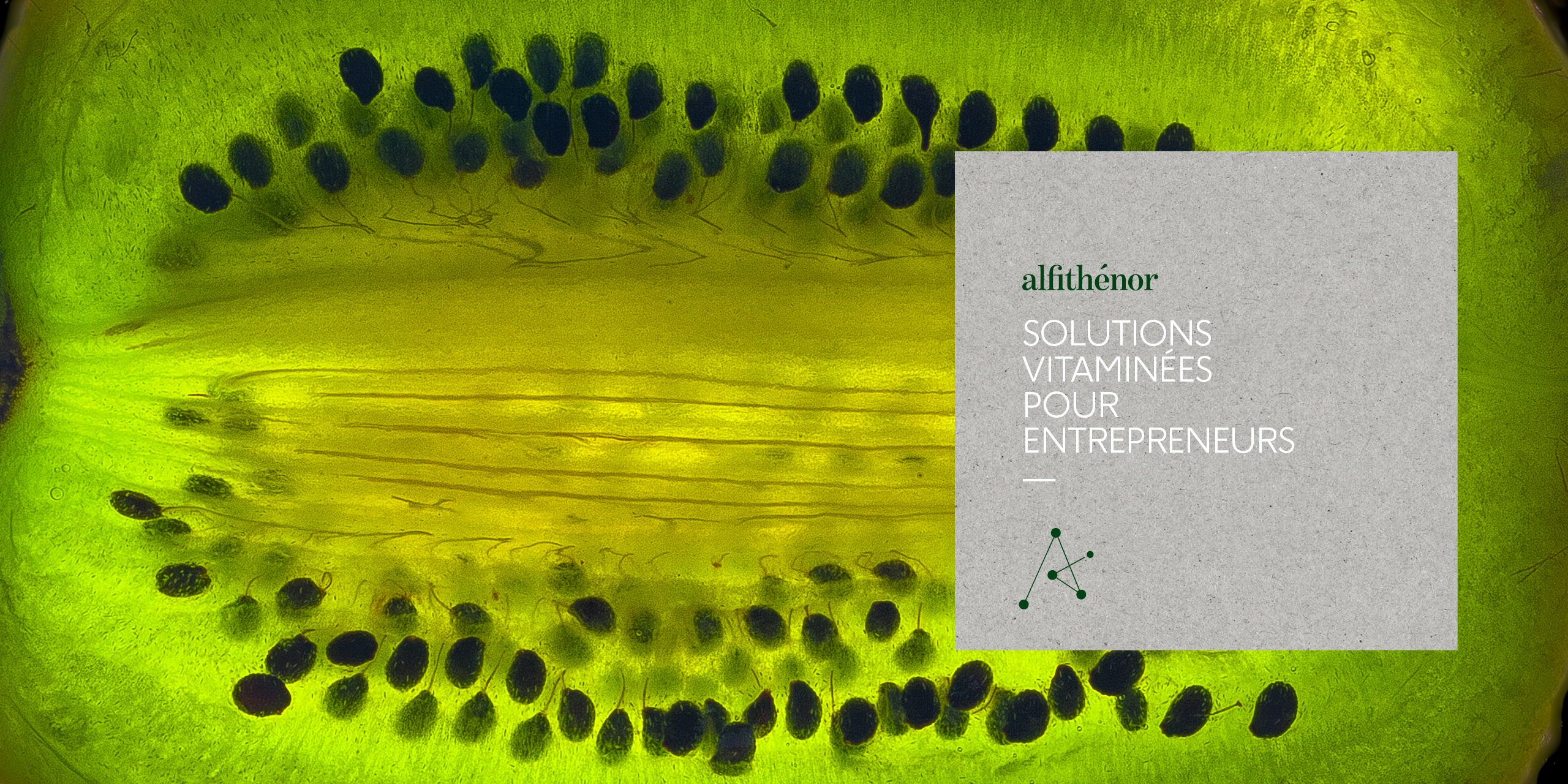 Alfithénor_ekvilibre_identité-de-marque