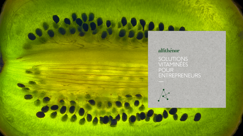 Alfithénor_ekvilibre_identité-de-marque