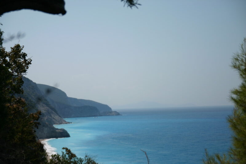 Une stratégie gagnante Delphine Terrasson consultant business developpement changer de perspective avec la stratégie océan blue