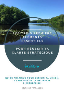 Le guide pour définir sa mission vision et promesse d'entreprise