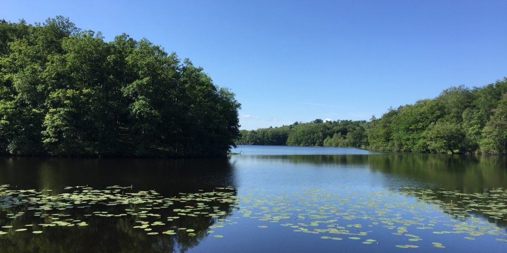 Lac du limousin Mission - Vision promesse les essentiels pour réussir
