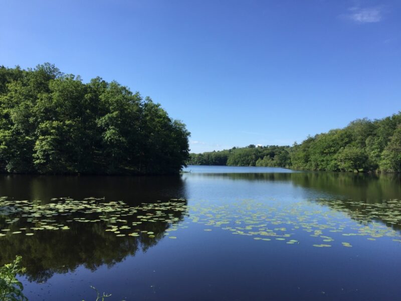 Lac du limousin Mission - Vision promesse les essentiels pour réussir