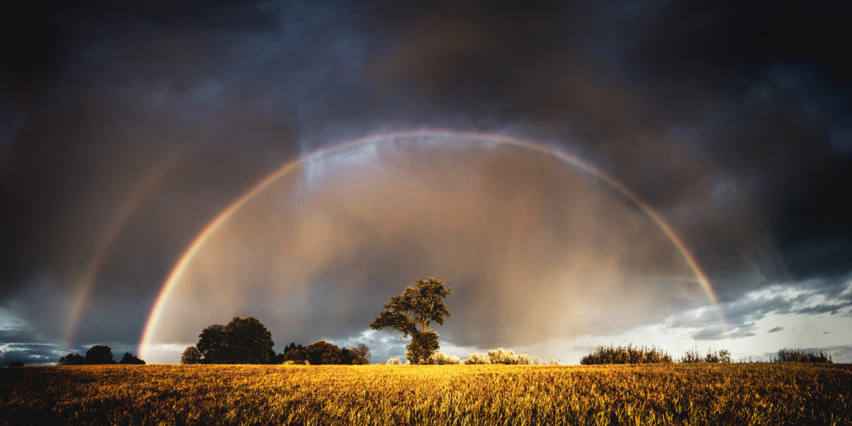 la clarté stratégique nous protège des intempéries clarté-strategique