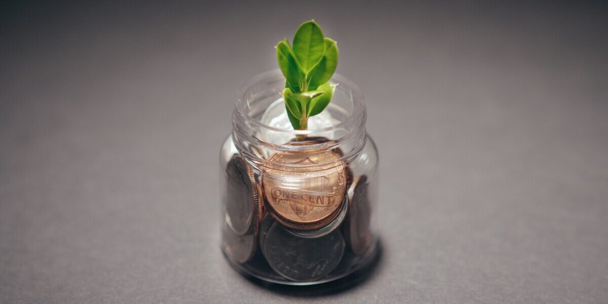 Un pot en verre rempli de pièces de monnaie avec une petite plante verte poussant à l'intérieur, sur fond gris.