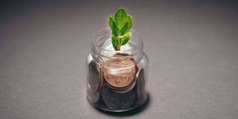 Un pot en verre rempli de pièces de monnaie avec une petite plante verte poussant à l'intérieur, sur fond gris.