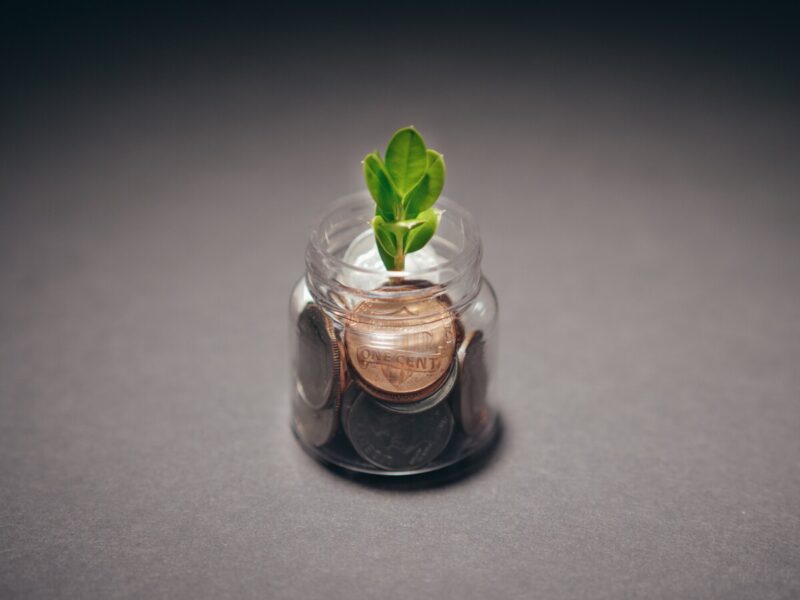 Un pot en verre rempli de pièces de monnaie avec une petite plante verte poussant à l'intérieur, sur fond gris.